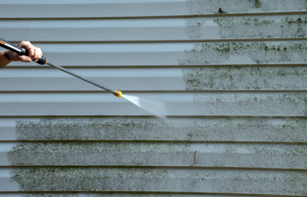 Best Window and Screen Pressure Cleaning in West Salem, WI